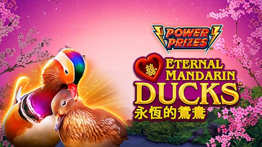 POWER PRIZES™ – Eternal Mandarin Ducks™