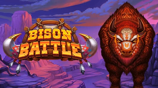 Bison Battle