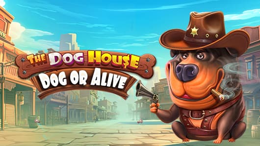 The Dog House – Dog or Alive