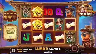 The Dog House – Dog or Alive