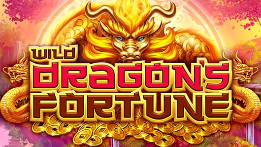 Wild Dragon’s Fortune