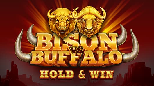 Bison vs Buffalo